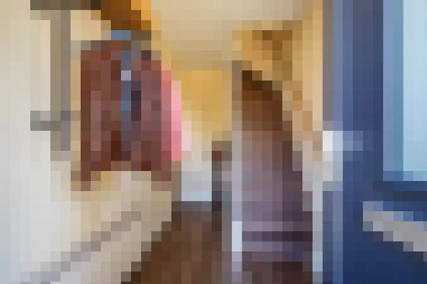 Van Boelenslaan 6 Beetsterzwaag thumbnail 7