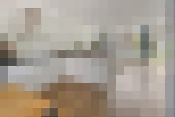 van Boelenstraat 26 's-Hertogenbosch thumbnail 10