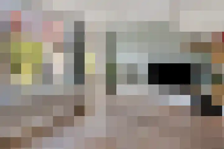 van Boelenstraat 26 's-Hertogenbosch thumbnail 11