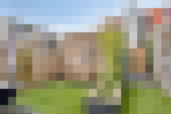 van Boelenstraat 26 's-Hertogenbosch thumbnail 12