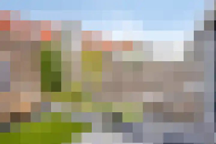 van Boelenstraat 26 's-Hertogenbosch thumbnail 13