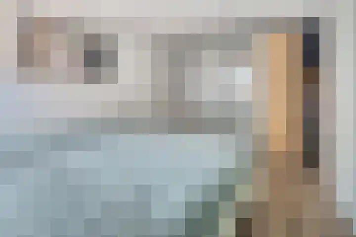 van Boelenstraat 26 's-Hertogenbosch thumbnail 18
