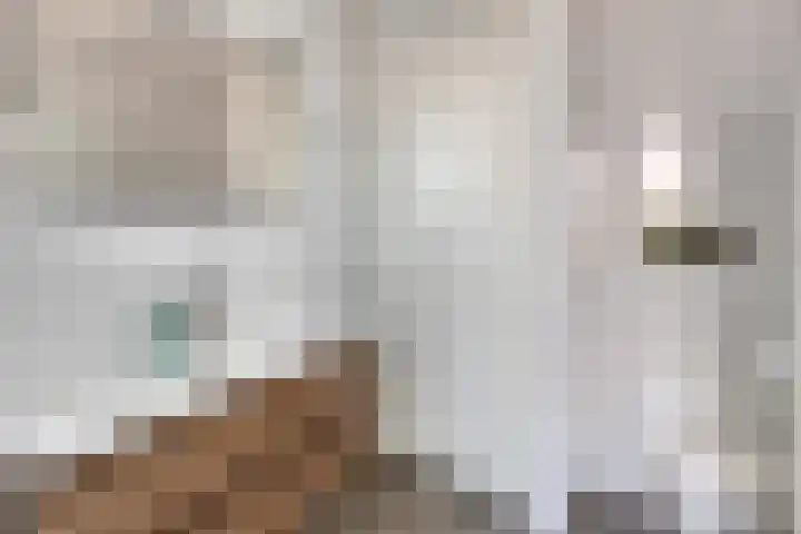 van Boelenstraat 26 's-Hertogenbosch thumbnail 21