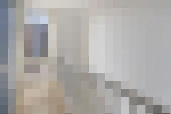 van Boelenstraat 26 's-Hertogenbosch thumbnail 22