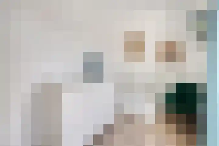van Boelenstraat 26 's-Hertogenbosch thumbnail 23