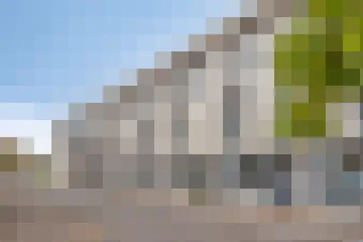van Boelenstraat 26 's-Hertogenbosch thumbnail 26