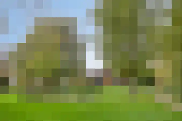 van Boelenstraat 26 's-Hertogenbosch thumbnail 29
