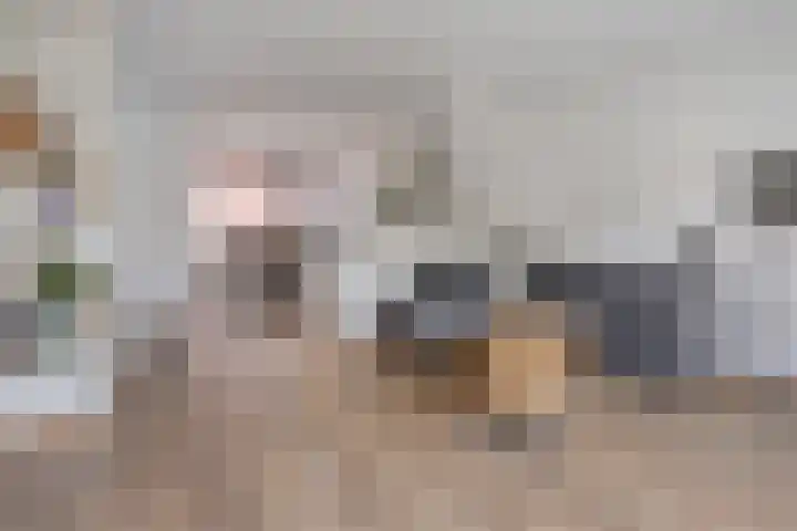 van Boelenstraat 26 's-Hertogenbosch thumbnail 4
