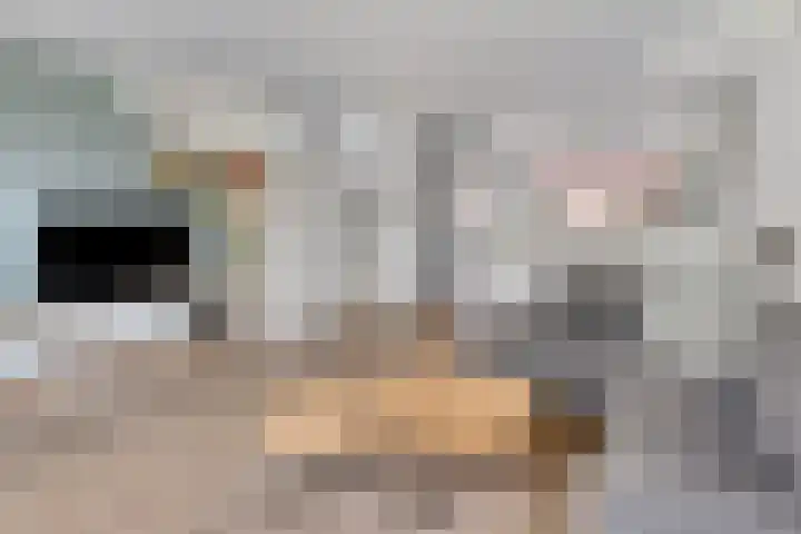 van Boelenstraat 26 's-Hertogenbosch thumbnail 5