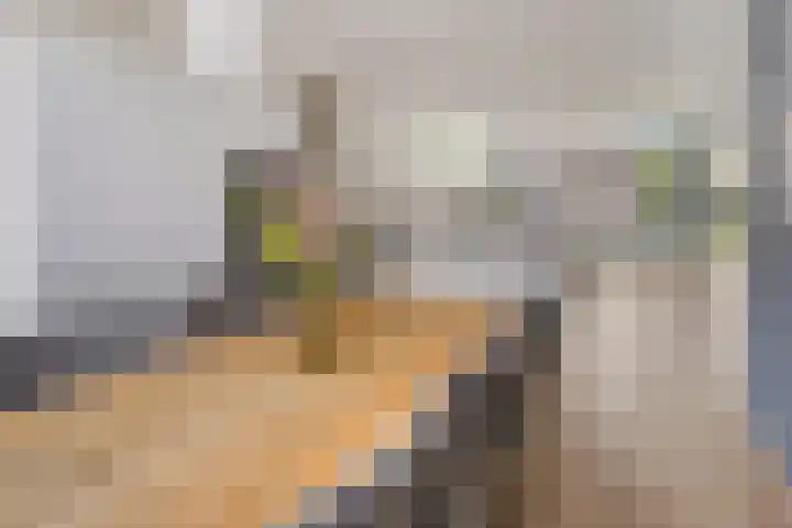van Boelenstraat 26 's-Hertogenbosch thumbnail 8