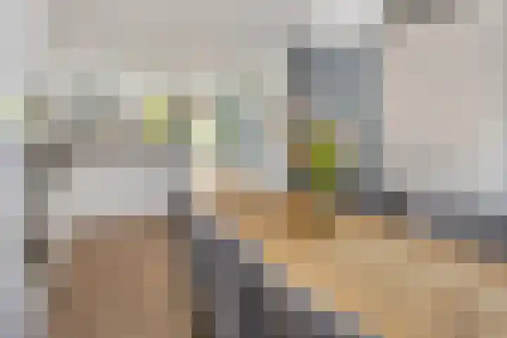 van Boelenstraat 26 's-Hertogenbosch thumbnail 9