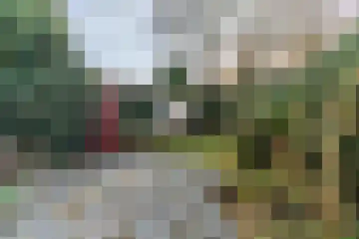 Van Boetzelaerlaan 1 Wassenaar thumbnail 11