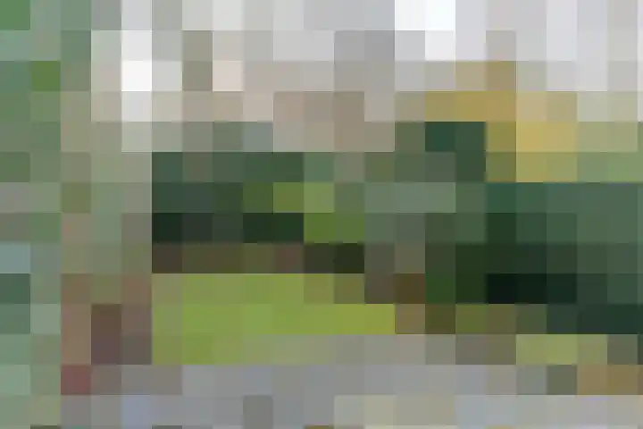 Van Boetzelaerlaan 1 Wassenaar thumbnail 12