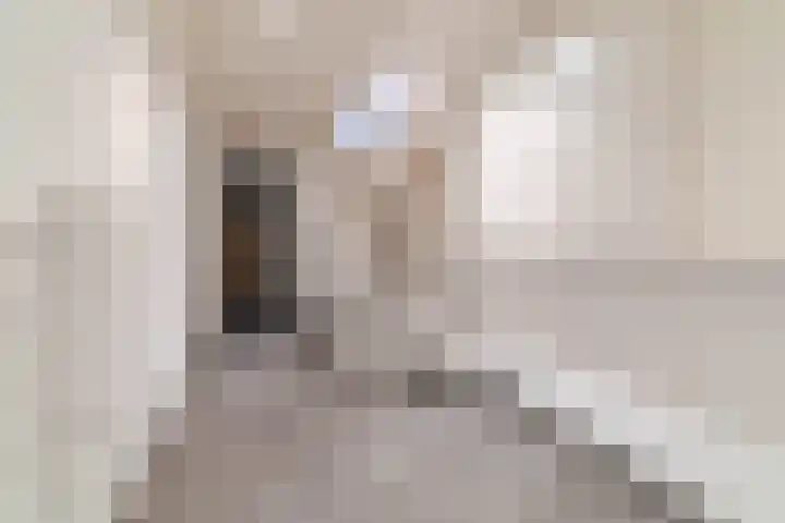 Van Boetzelaerlaan 1 Wassenaar thumbnail 14