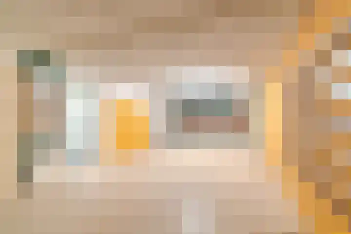 Van Boetzelaerlaan 1 Wassenaar thumbnail 15