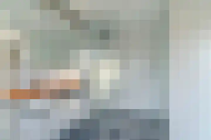 Van Boetzelaerlaan 1 Wassenaar thumbnail 20