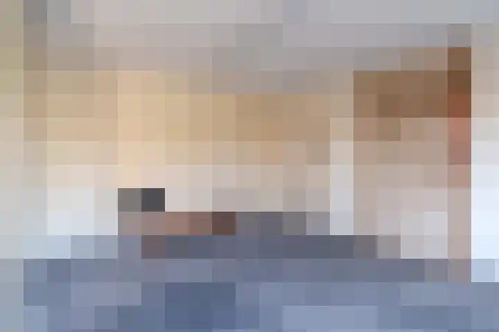 Van Boetzelaerlaan 1 Wassenaar thumbnail 22