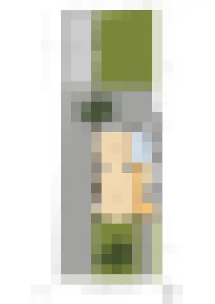 Van Boetzelaerlaan 1 Wassenaar thumbnail 30
