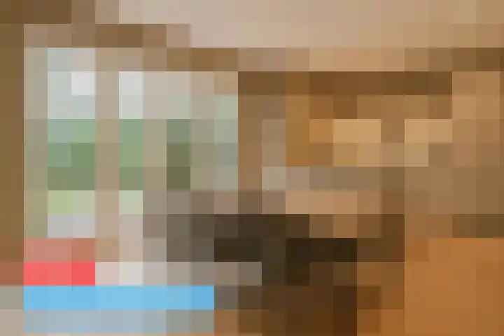 Van Boetzelaerlaan 1 Wassenaar thumbnail 9