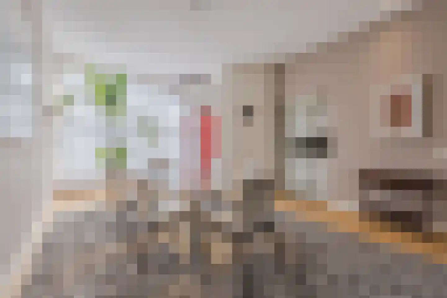 Van Boetzelaerlaan 117 A Den Haag thumbnail 14