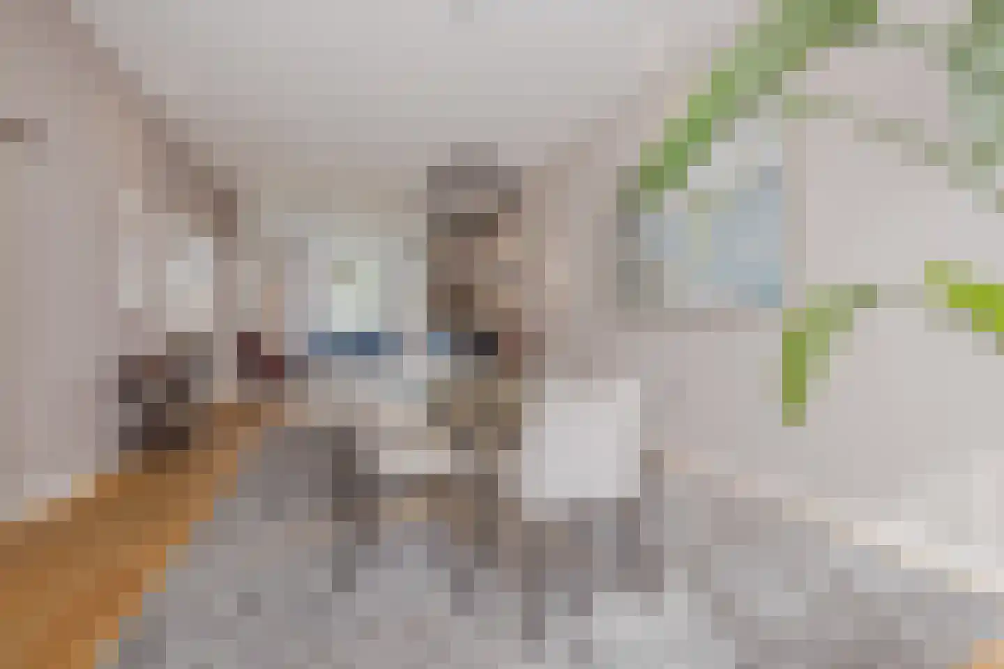 Van Boetzelaerlaan 117 A Den Haag thumbnail 15