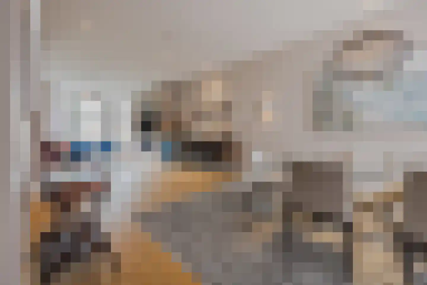 Van Boetzelaerlaan 117 A Den Haag thumbnail 6