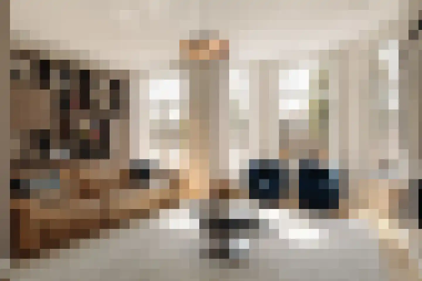 Van Boetzelaerlaan 117 A Den Haag thumbnail 7