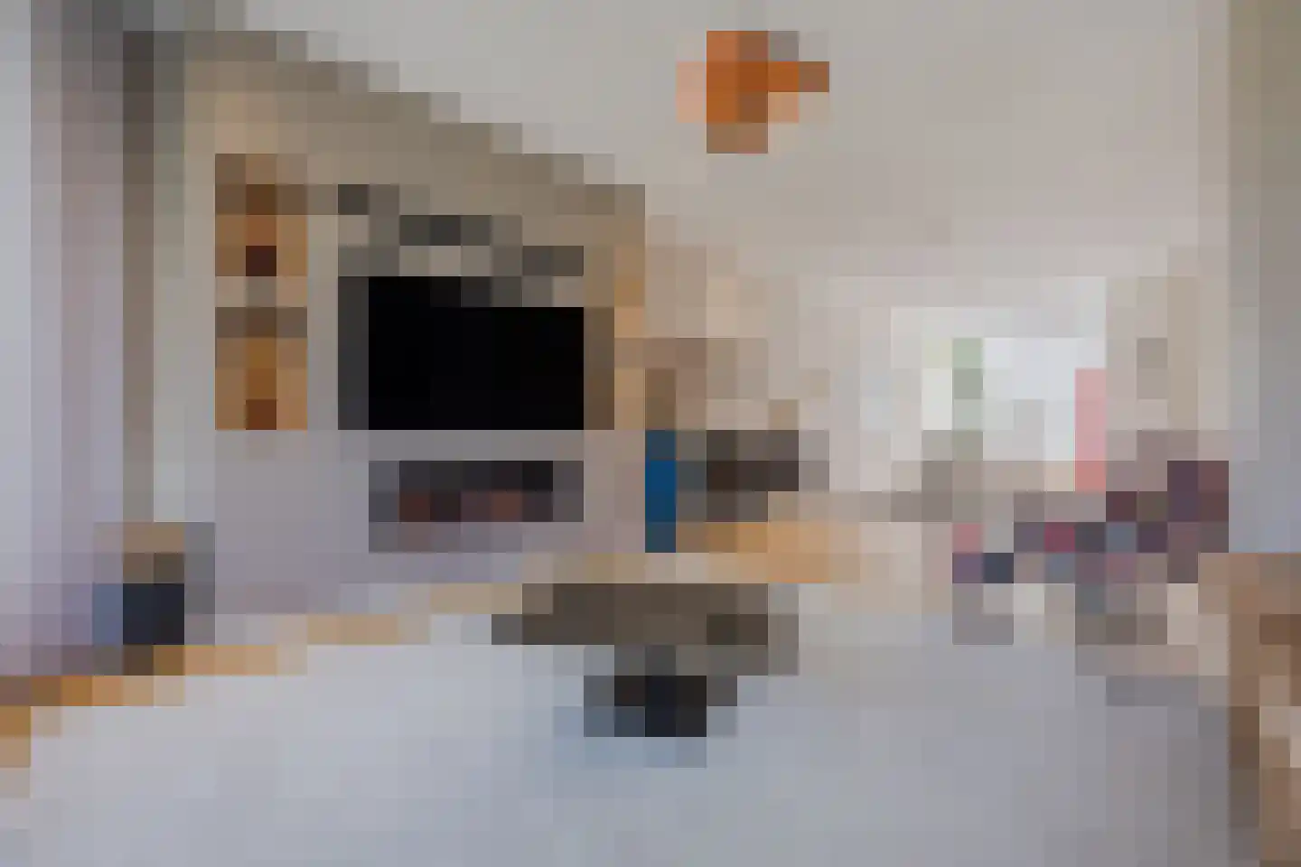 Van Boetzelaerlaan 117 A Den Haag thumbnail 8