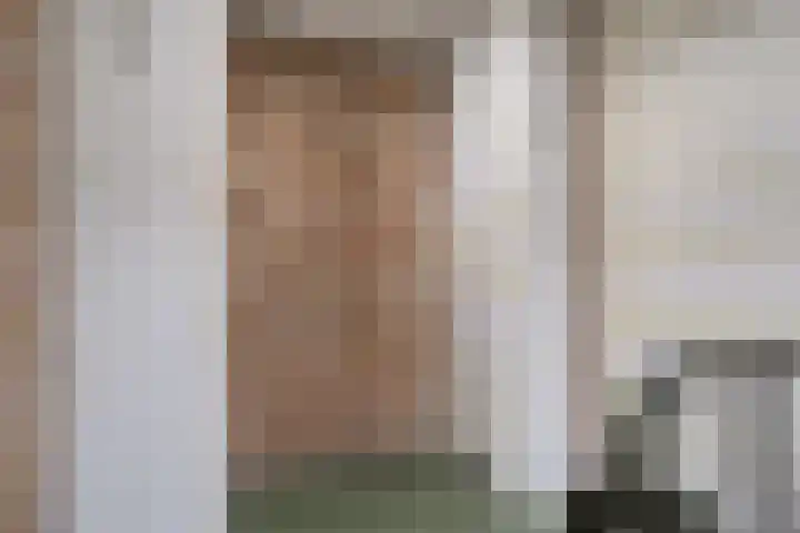 Van Boetzelaerlaan 124 Hoogland thumbnail 10