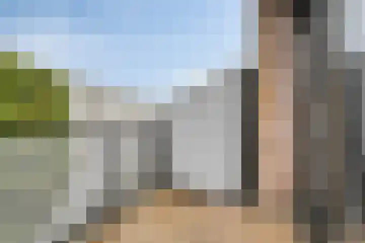 Van Boetzelaerlaan 124 Hoogland thumbnail 22