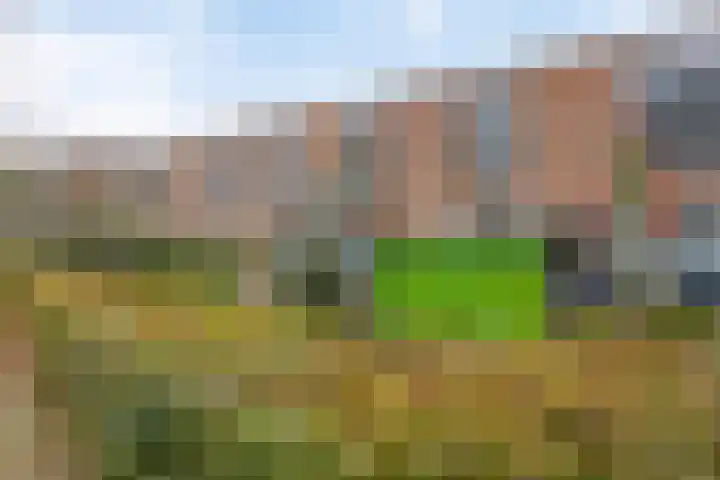 Van Boetzelaerlaan 124 Hoogland thumbnail 6