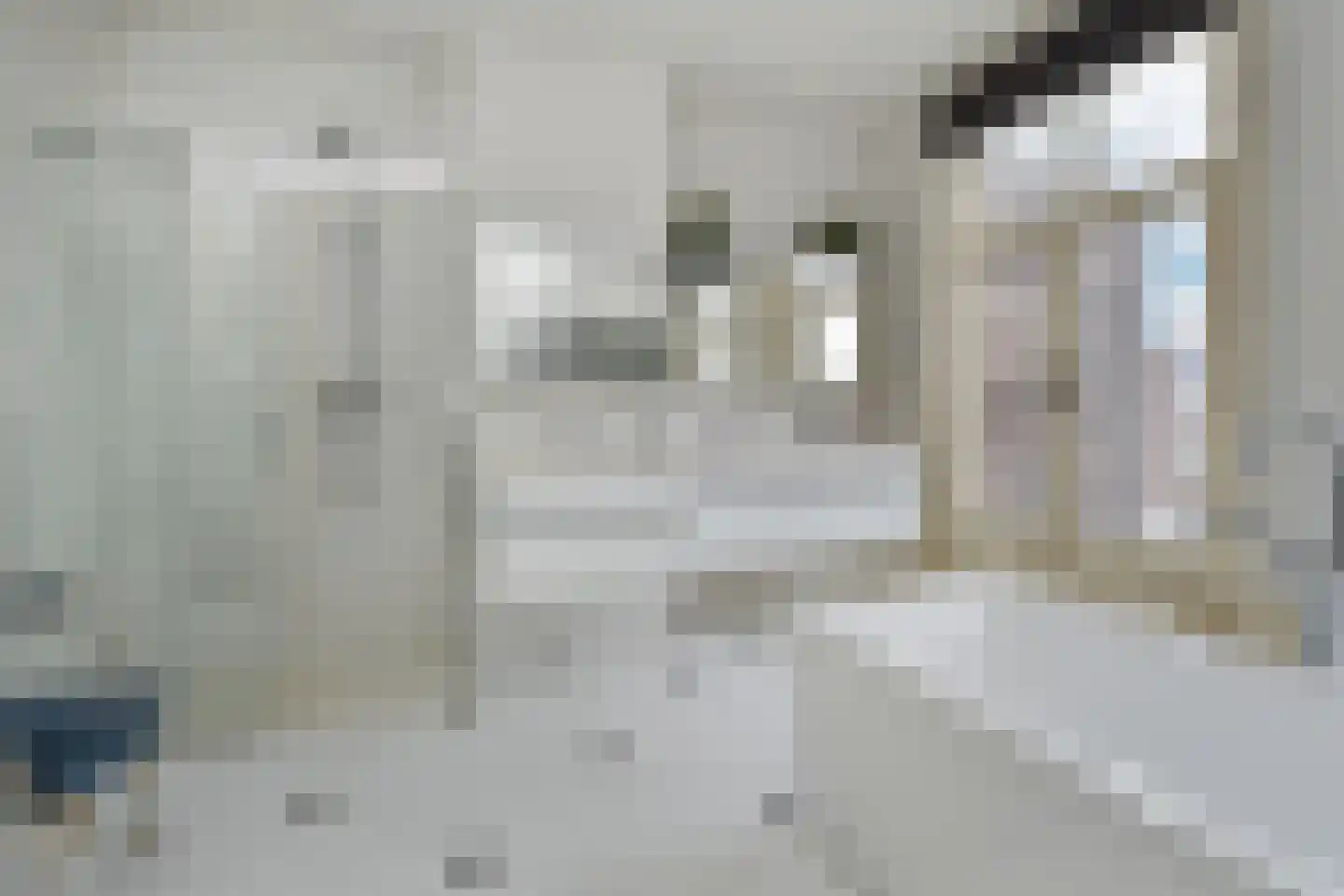 Van Boetzelaerlaan 129 A Den Haag thumbnail 47