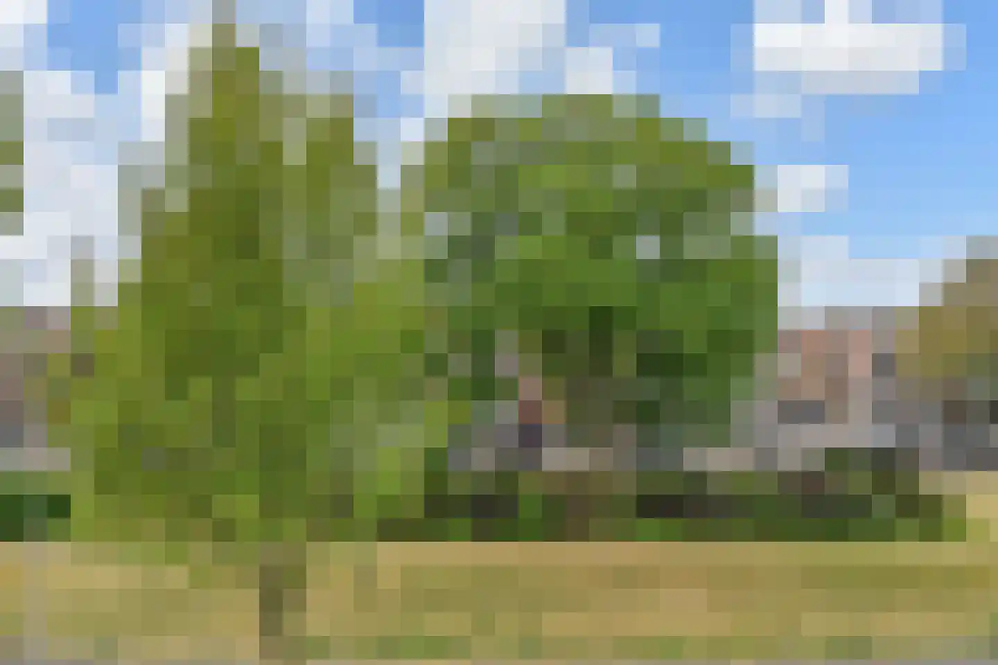 Van Boetzelaerlaan 129 A Den Haag thumbnail 53