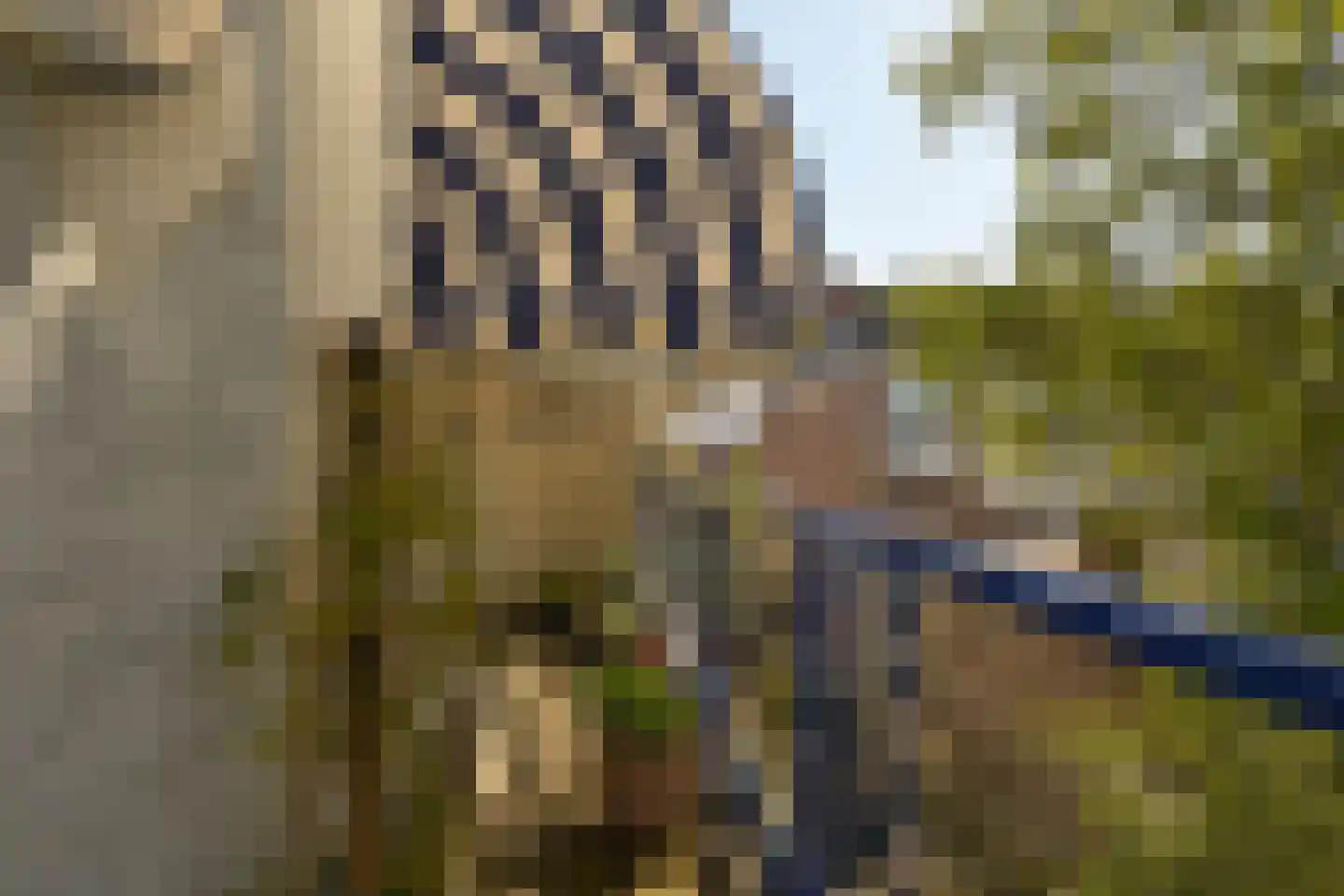 Van Boetzelaerlaan 130 A Den Haag thumbnail 18