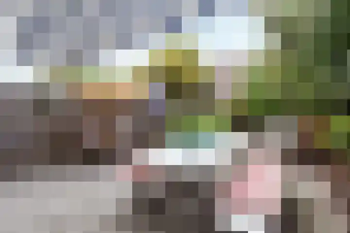 Van Boetzelaerlaan 152 Den Haag thumbnail 10