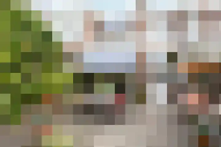 Van Boetzelaerlaan 152 Den Haag thumbnail 11