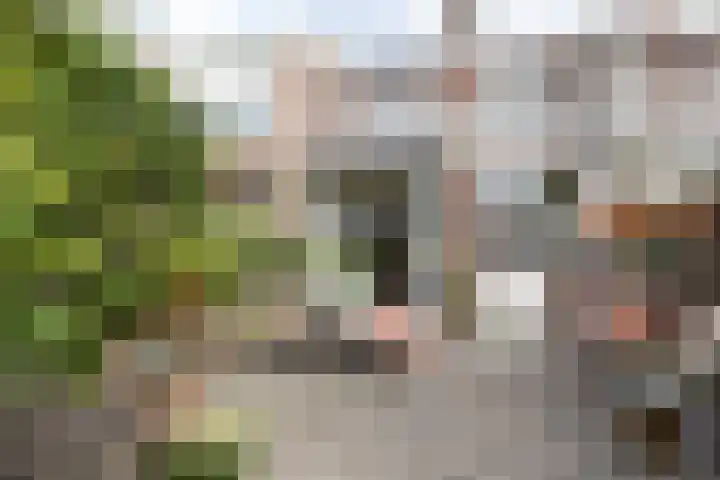 Van Boetzelaerlaan 152 Den Haag thumbnail 13