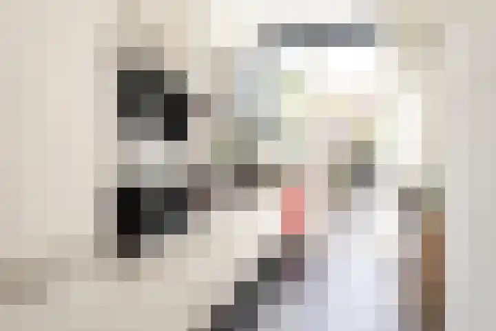 Van Boetzelaerlaan 152 Den Haag thumbnail 15