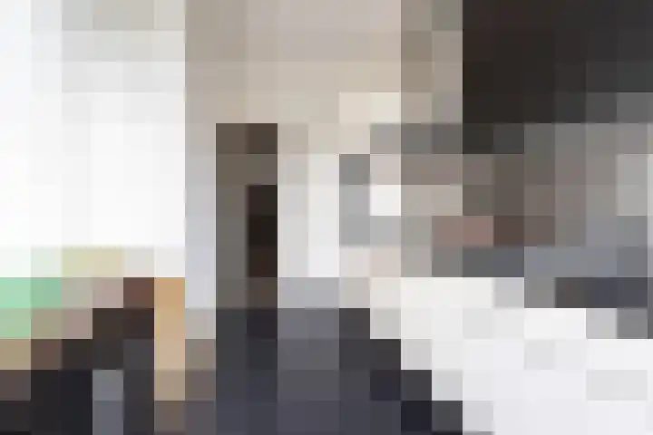 Van Boetzelaerlaan 152 Den Haag thumbnail 17