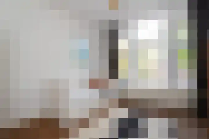 Van Boetzelaerlaan 152 Den Haag thumbnail 22