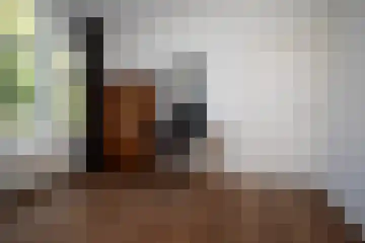Van Boetzelaerlaan 152 Den Haag thumbnail 24