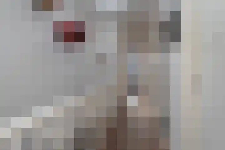 Van Boetzelaerlaan 152 Den Haag thumbnail 27