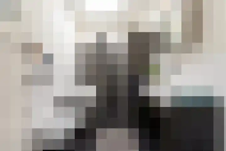 Van Boetzelaerlaan 152 Den Haag thumbnail 28