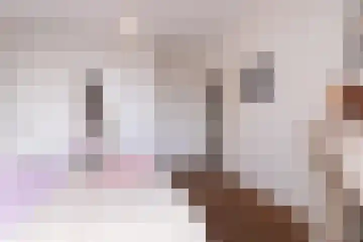 Van Boetzelaerlaan 152 Den Haag thumbnail 32