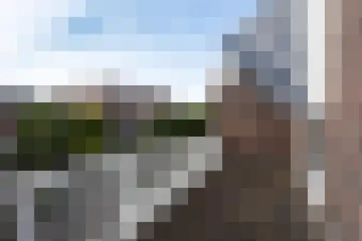 Van Boetzelaerlaan 152 Den Haag thumbnail 34
