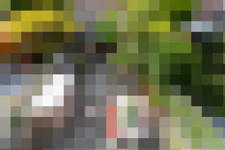 Van Boetzelaerlaan 152 Den Haag thumbnail 37