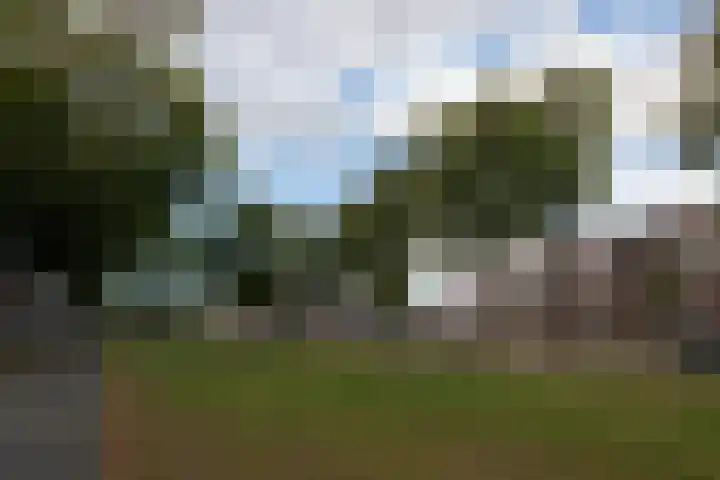 Van Boetzelaerlaan 152 Den Haag thumbnail 39