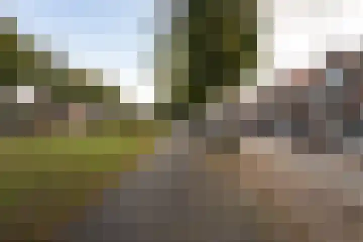 Van Boetzelaerlaan 152 Den Haag thumbnail 40