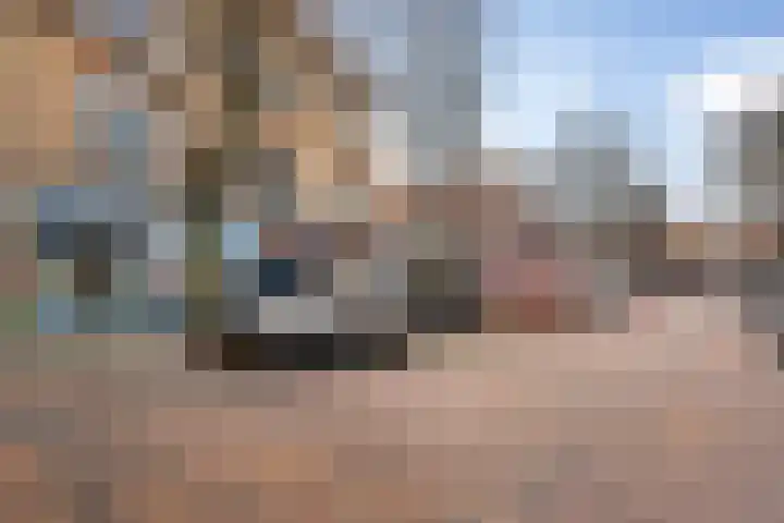 Van Boetzelaerlaan 152 Den Haag thumbnail 44