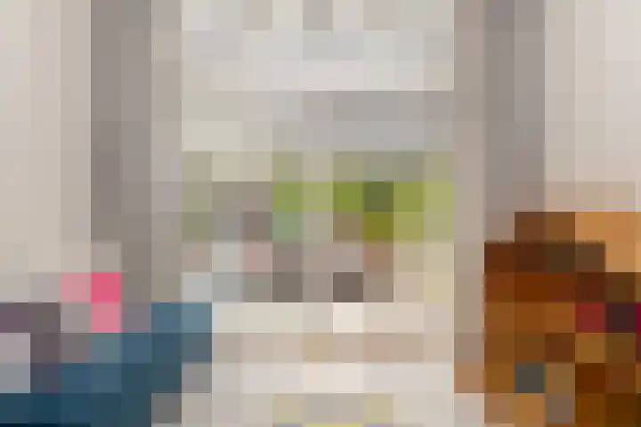 Van Boetzelaerlaan 152 Den Haag thumbnail 8